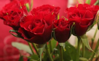 Η Μυστική Οδός της Αγάπης